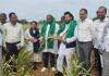 ಮಳೆ ಕೊರತೆ: ರೈತರ ಜಮೀನುಗಳಿಗೆ ಸಚಿವ ನಾಗೇಂದ್ರ ಭೇಟಿ
