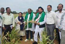 ಮಳೆ ಕೊರತೆ: ರೈತರ ಜಮೀನುಗಳಿಗೆ ಸಚಿವ ನಾಗೇಂದ್ರ ಭೇಟಿ