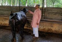 ರಾಜಕೀಯ ಗದ್ದಲಕ್ಕೆ ತಾತ್ಕಾಲಿಕ ವಿರಾಮ: ಕೃಷಿ ಕಾಯಕಕ್ಕೆ ಮರಳಿದ ಬಸವರಾಜ ಹೊರಟ್ಟಿ