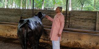ರಾಜಕೀಯ ಗದ್ದಲಕ್ಕೆ ತಾತ್ಕಾಲಿಕ ವಿರಾಮ: ಕೃಷಿ ಕಾಯಕಕ್ಕೆ ಮರಳಿದ ಬಸವರಾಜ ಹೊರಟ್ಟಿ