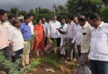ದಾವಣಗೆರೆ ಬರ ಪರಿಸ್ಥಿತಿ: ರೈತರ ಜಮೀನಿಗೆ ಸಚಿವ ಬಸವಂತಪ್ಪ ಭೇಟಿ