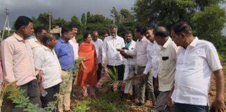 ದಾವಣಗೆರೆ ಬರ ಪರಿಸ್ಥಿತಿ: ರೈತರ ಜಮೀನಿಗೆ ಸಚಿವ ಬಸವಂತಪ್ಪ ಭೇಟಿ