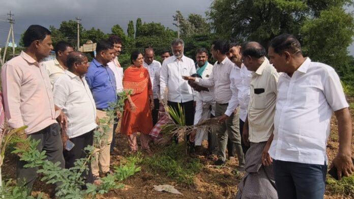 davanagere-drought-crop-damage-basavanthappa-farmers