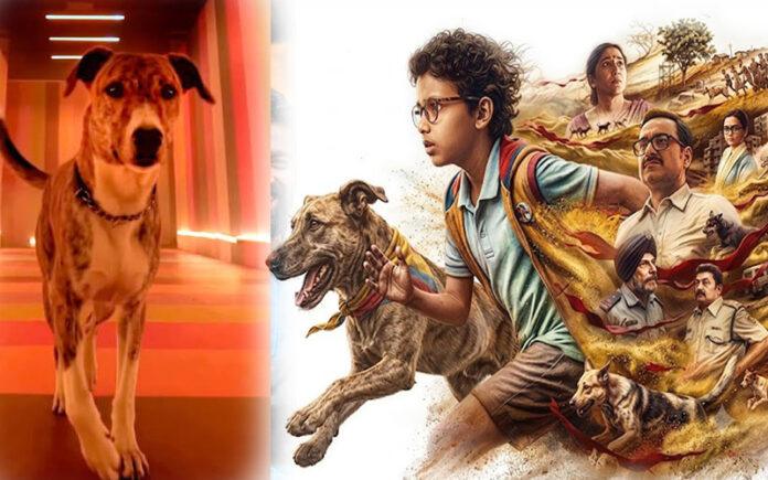 ohh-my-dog-movie-chhota-bachaa-2-release-august-7
