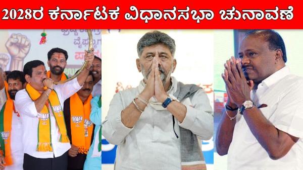 2028 assembly elections
