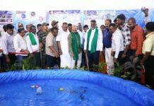 ಕೃಷಿಯ ಜತೆಗೆ ಮೀನುಗಾರಿಕೆ: ರೈತರ ಆದಾಯ ಹೆಚ್ಚಳಕ್ಕೆ ಹೊಸ ಅವಕಾಶ