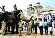 ಮೈಸೂರು: ಜಂಬೂಸವಾರಿಗೆ ಕ್ಷಣಗಣನೆ