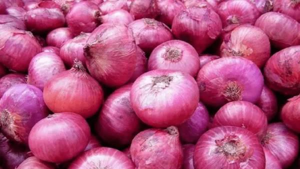 Onion Price