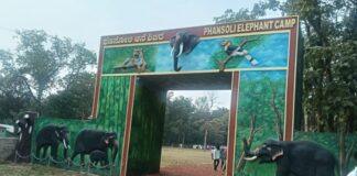 ಪಣಸೋಲಿ ಆನೆ ಶಿಬಿರ: ವನ್ಯಜೀವಿ ಸಂರಕ್ಷಣೆಗೆ ಒತ್ತು