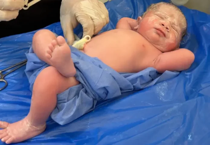 egypt-newborn-baby-royal-pose-viral-video